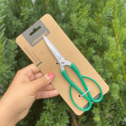 356998392 607495284833595 4242347498979573218 n PhotoRoom (1) (1)