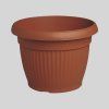 crep