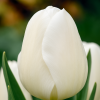 ChatGPT Image 7. 8. 2025, 12 05 59 (1)