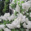image Photoroom 2025 03 14T103834.224