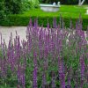 image Photoroom 2025 04 11T091633.145