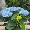 DM foto 2026 08 07T135141.107