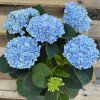 DM foto 2026 08 07T135313.371