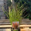 DM foto 2026 08 18T125007.224