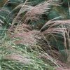 image (10) (1)