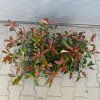 DM foto 2026 09 08T163542.576